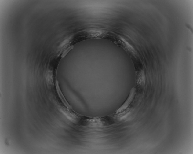 X0000095530524200712141505