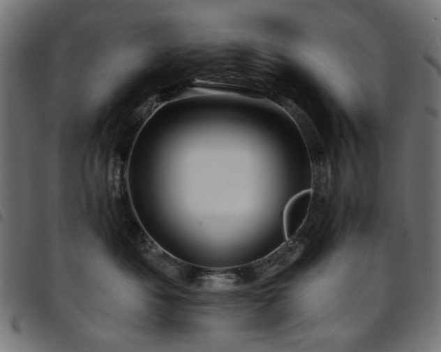 X0000095530525200712141505