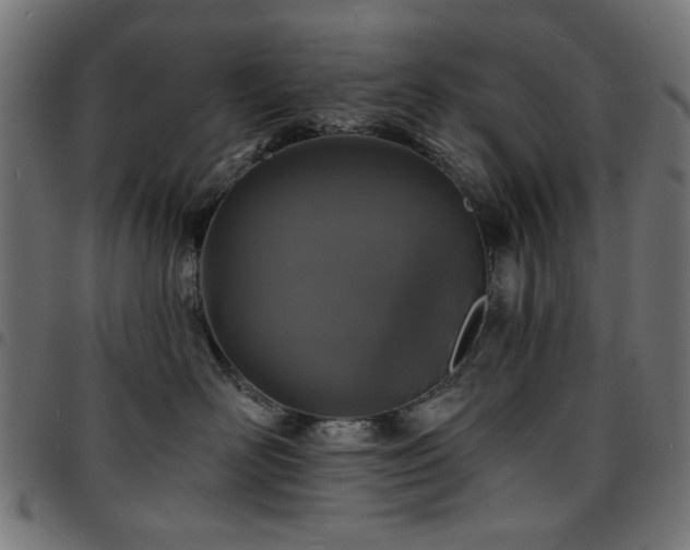 X0000095530526200712141505