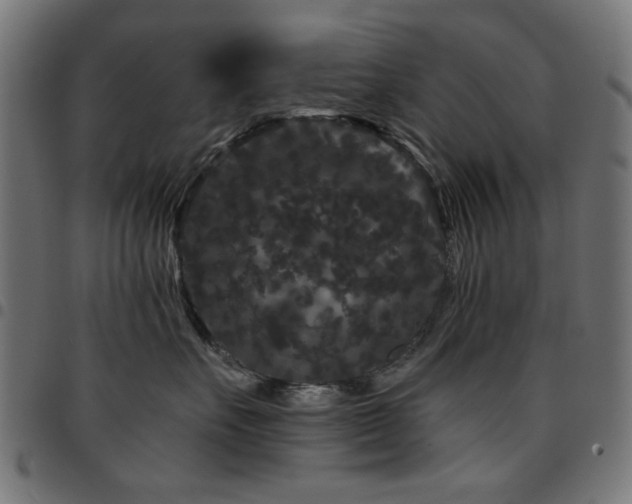 X0000095530527200712141505