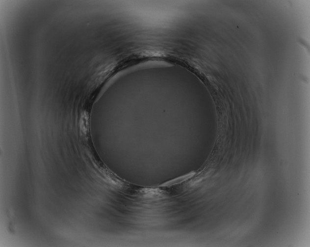 X0000095530528200712141505