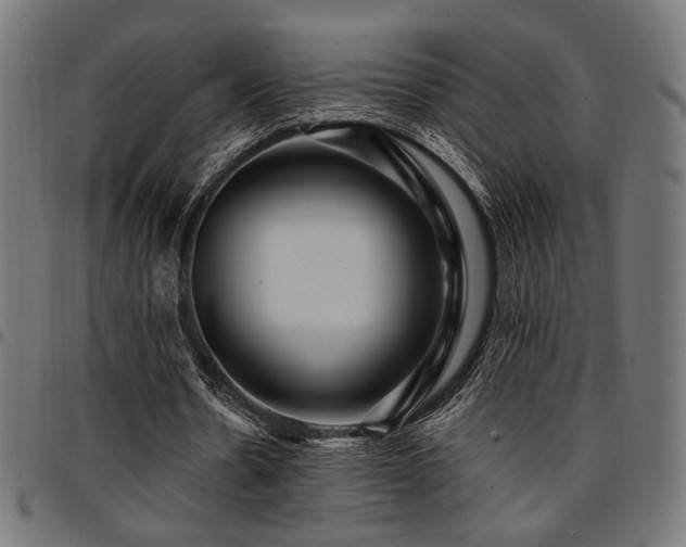 X0000095530530200712141504