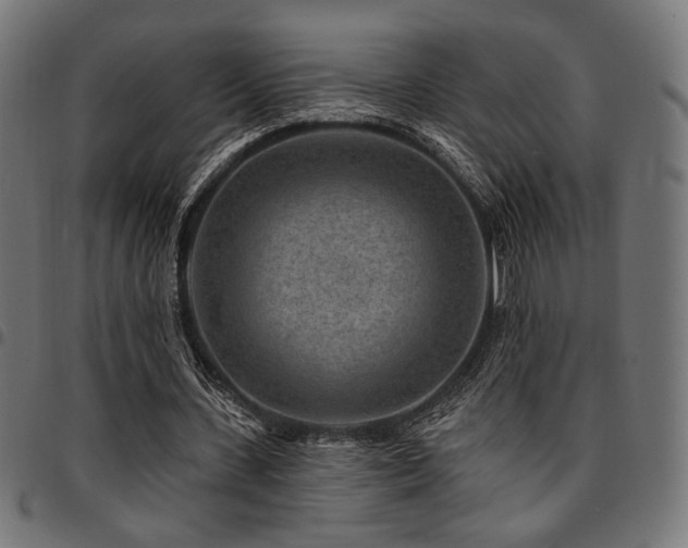 X0000095530531200712141504