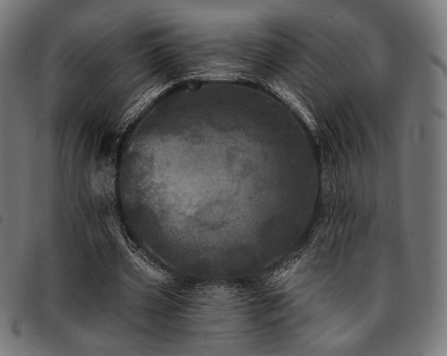 X0000095530533200712141504