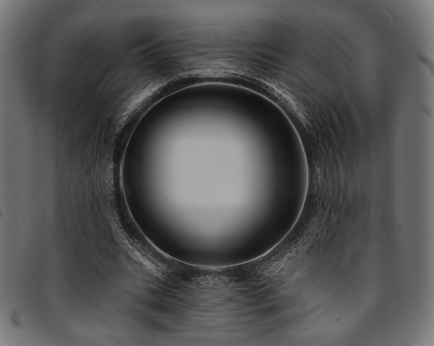 X0000095530535200712141504