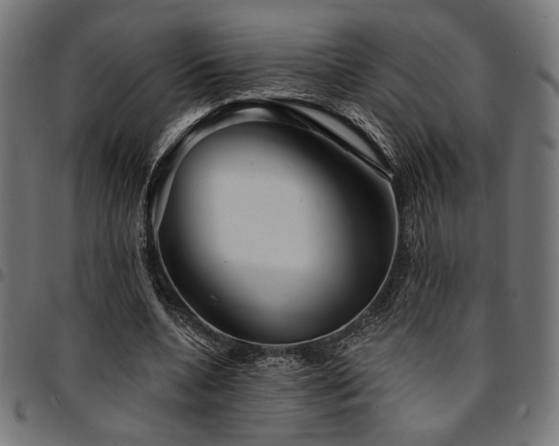 X0000095530536200712141504