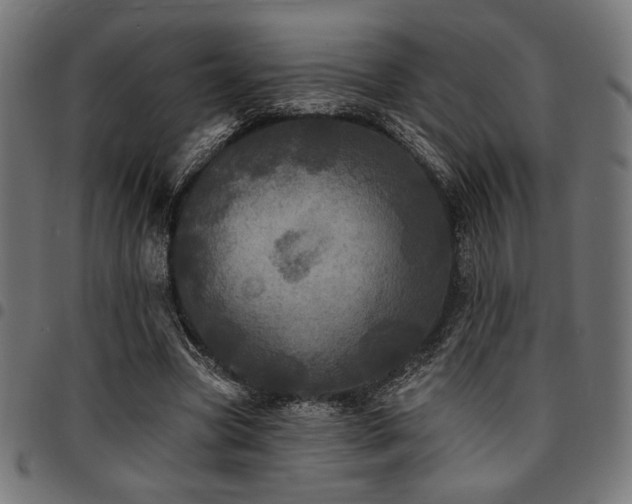 X0000095530537200712141504
