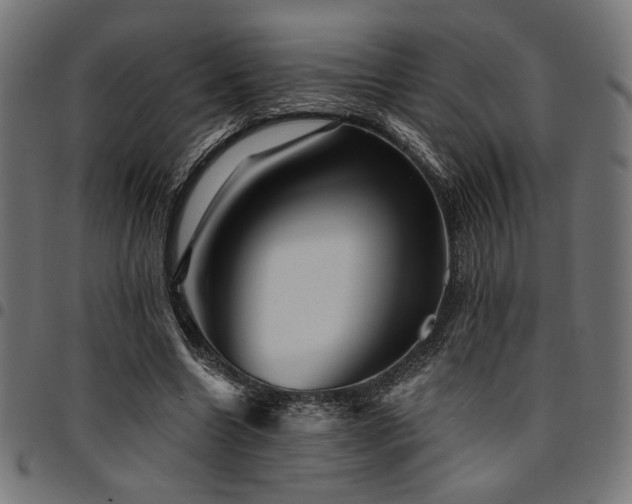 X0000095530538200712141504