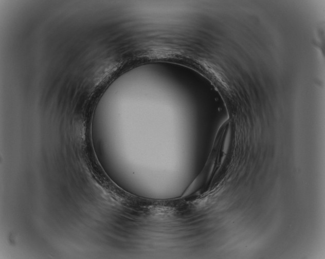 X0000095530539200712141504