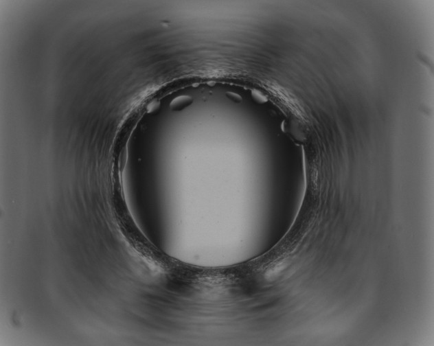X0000095530540200712141504