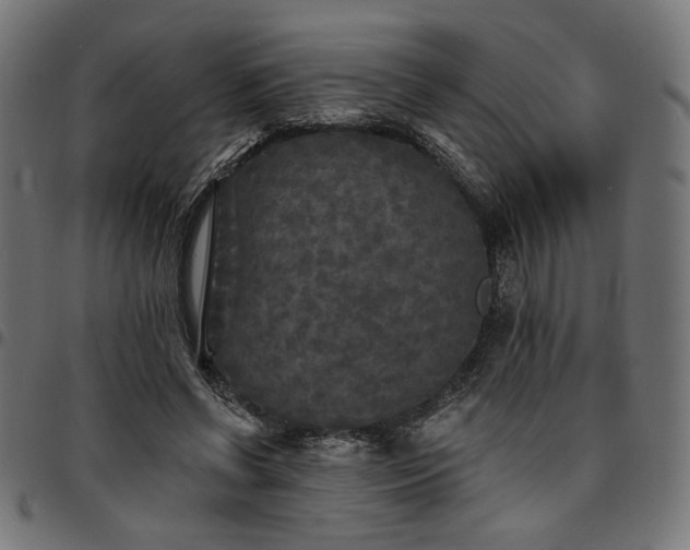 X0000095530542200712141504