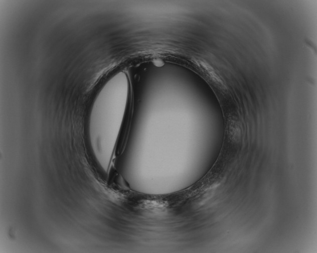 X0000095530543200712141504