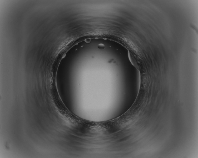 X0000095530544200712141504