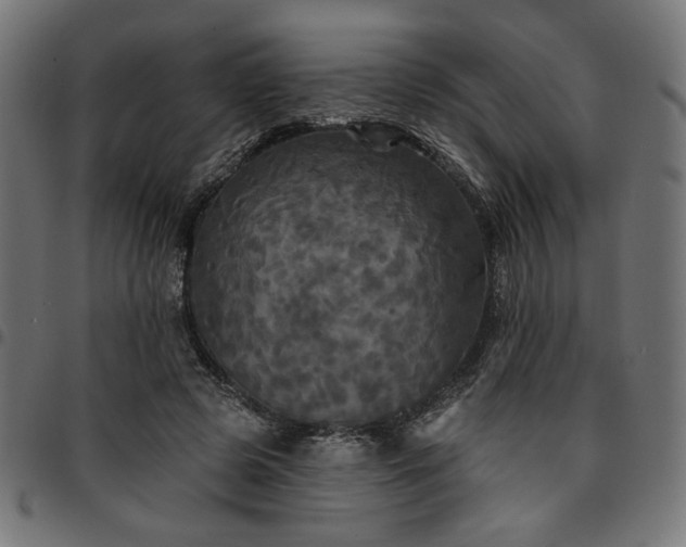 X0000095530545200712141504