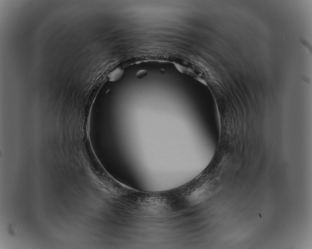 X0000095530546200712141504