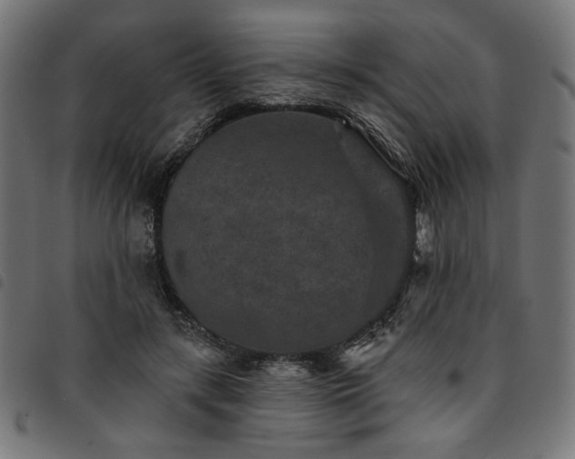X0000095530547200712141504