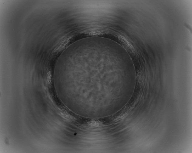 X0000095530549200712141504
