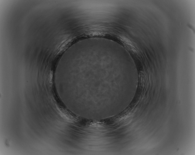X0000095530550200712141504