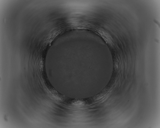 X0000095530551200712141504