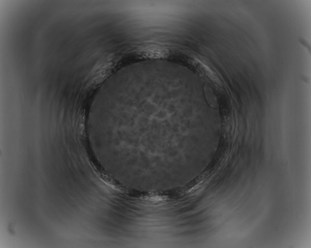 X0000095530553200712141504