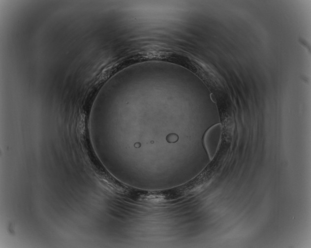X0000095530554200712141504