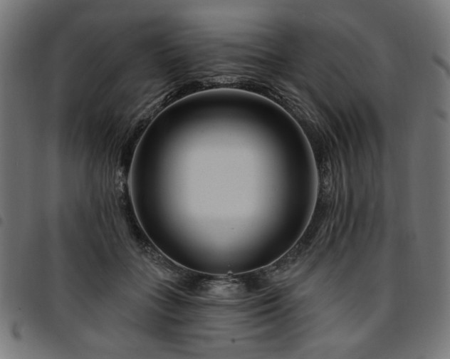 X0000095530555200712141504