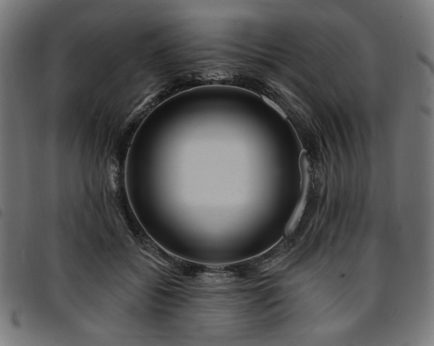 X0000095530556200712141504