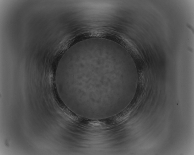 X0000095530557200712141504