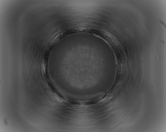 X0000095530558200712141505