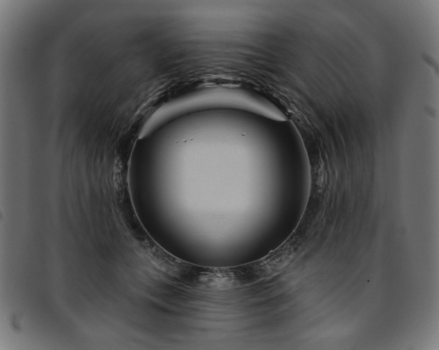 X0000095530559200712141505