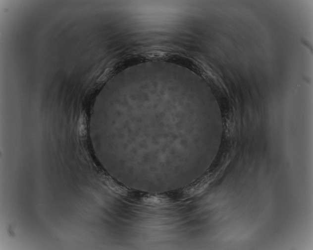 X0000095530561200712141505