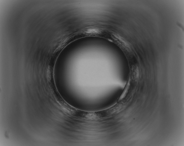 X0000095530562200712141505