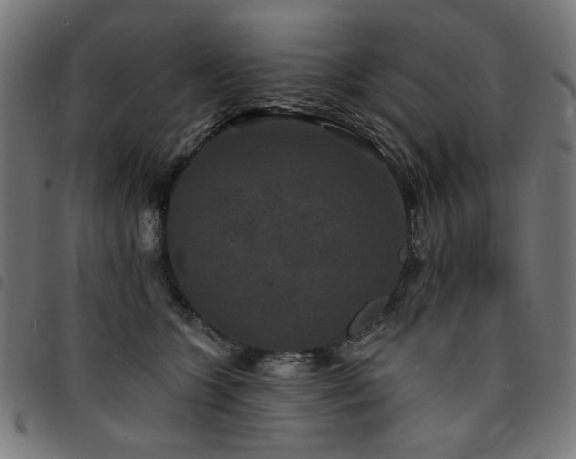 X0000095530563200712141505