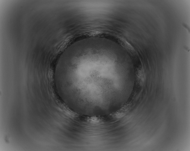 X0000095530565200712141505
