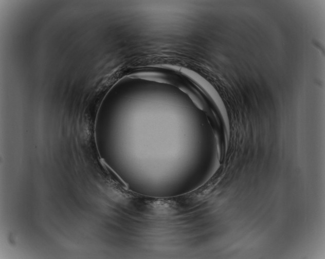 X0000095530566200712141505