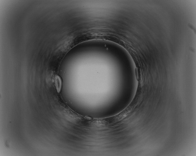 X0000095530567200712141505
