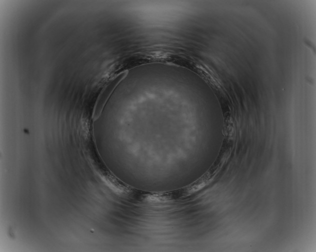 X0000095530568200712141505