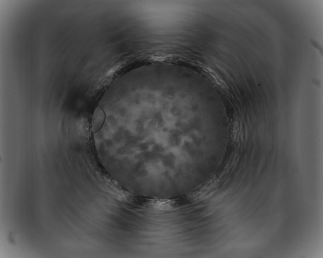 X0000095530569200712141505