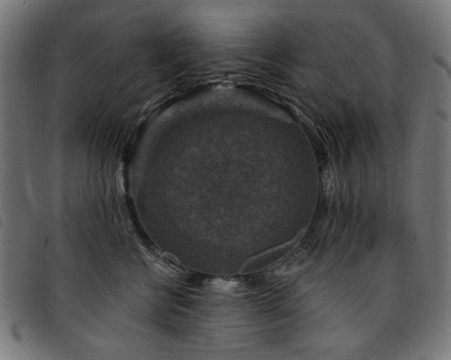X0000095530570200712141505