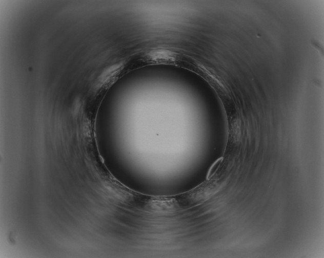 X0000095530571200712141505