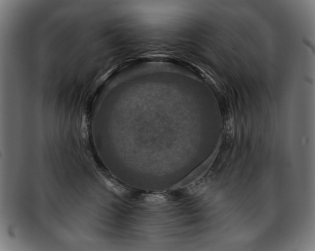 X0000095530572200712141505