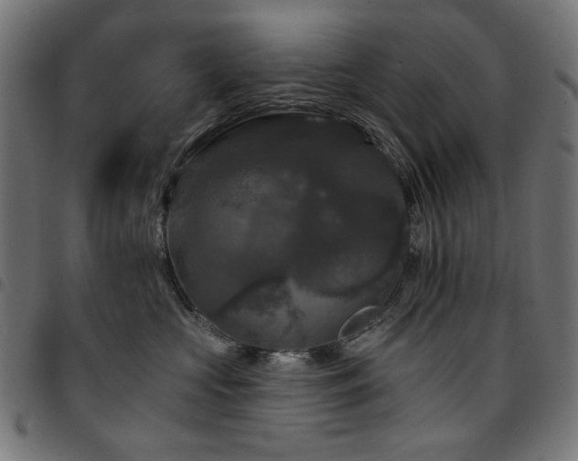 X0000095530573200712141505