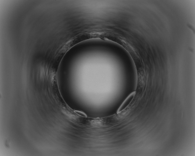 X0000095530574200712141505
