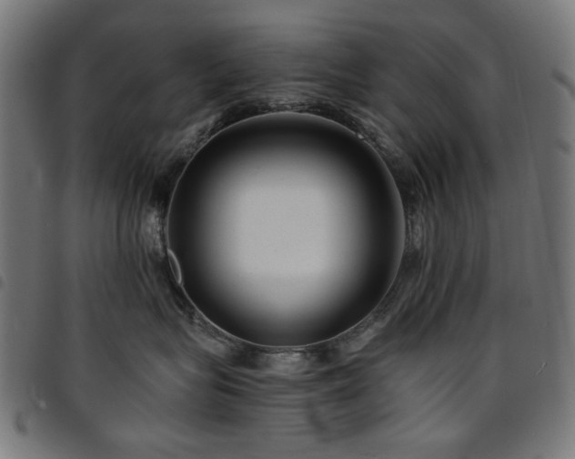 X0000095530575200712141505