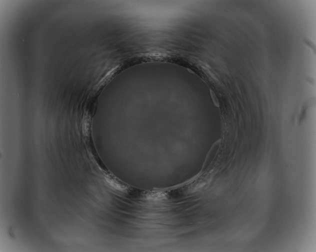 X0000095530576200712141505
