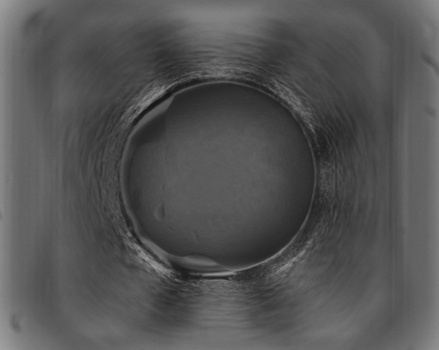 X0000095530577200712141504