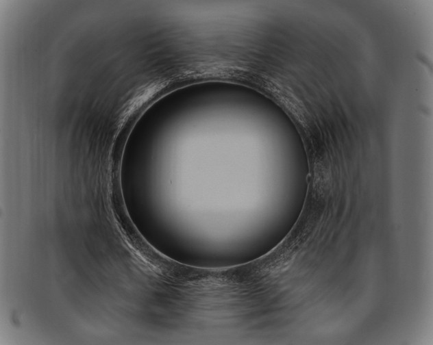 X0000095530578200712141504