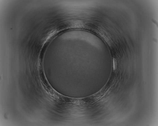 X0000095530579200712141504