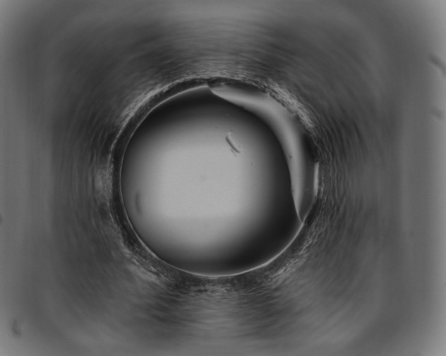 X0000095530580200712141504