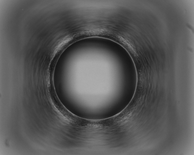 X0000095530582200712141504